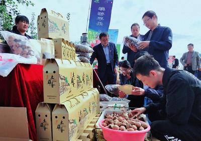 線上線下銷售火爆，食品消費新趨勢解讀