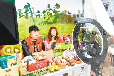 農高會西安展團捷報頻傳 項目簽約與農副產品銷售雙豐收