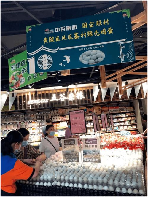 改革攻堅在行動 中百集團國企聯村工作紀實，助力鄉村振興