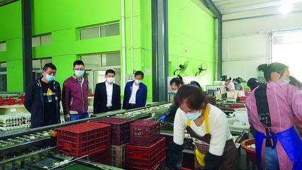 大冶市畜牧獸醫局 當好“服務員”，助力涉牧企業復產增效，保障食品銷售安全順暢